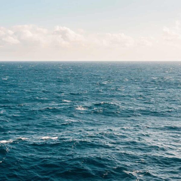Majestic Seas - 8oz