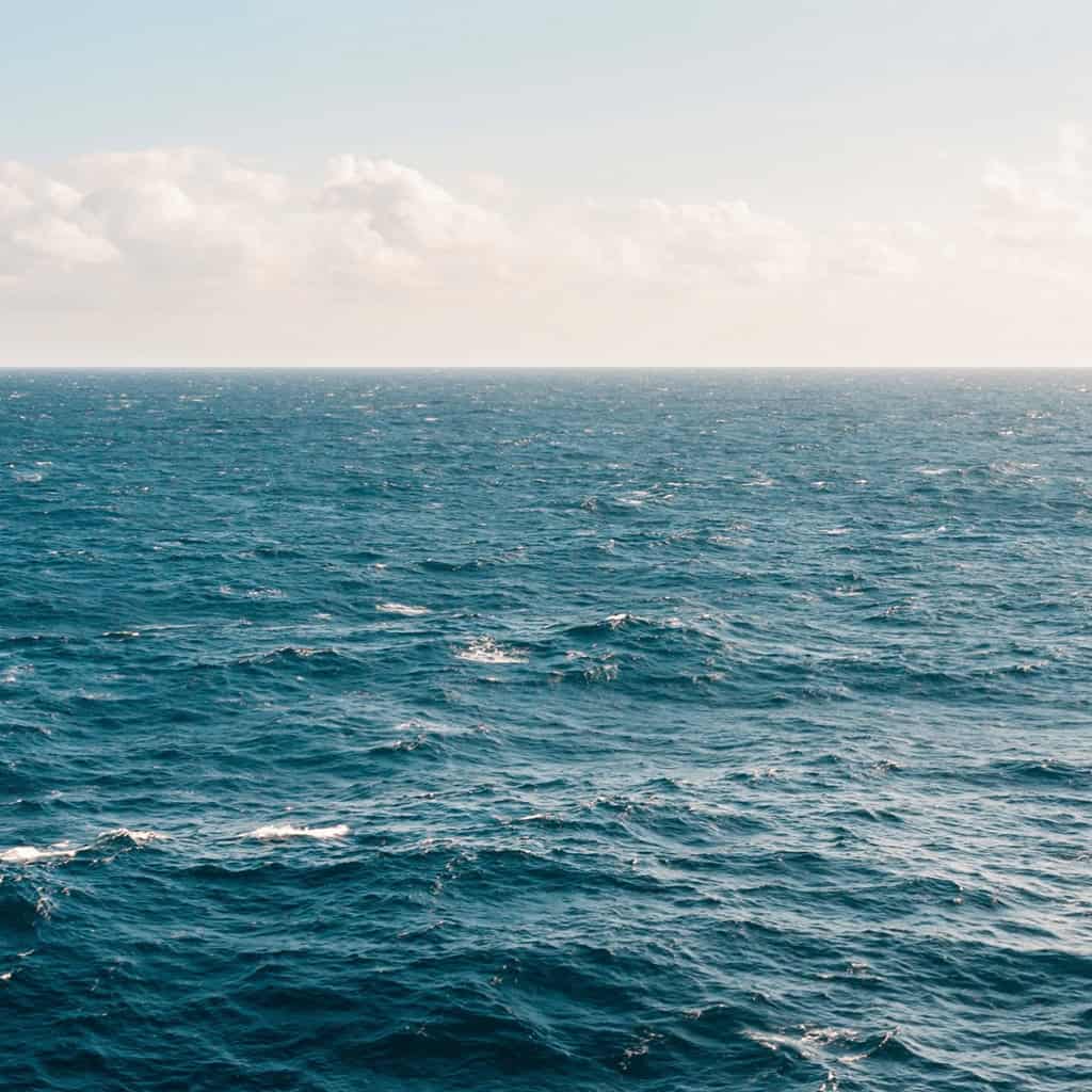 Majestic Seas