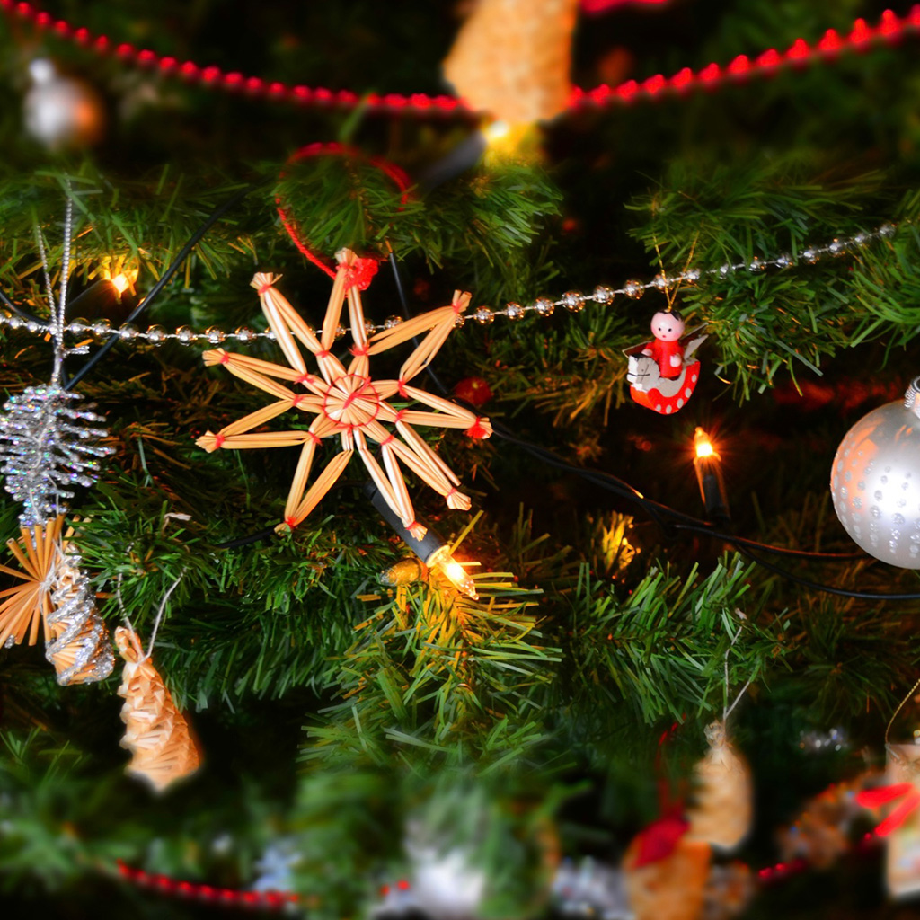 Splendors of Christmas