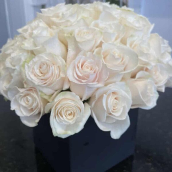 Vanilla Rose - 8oz